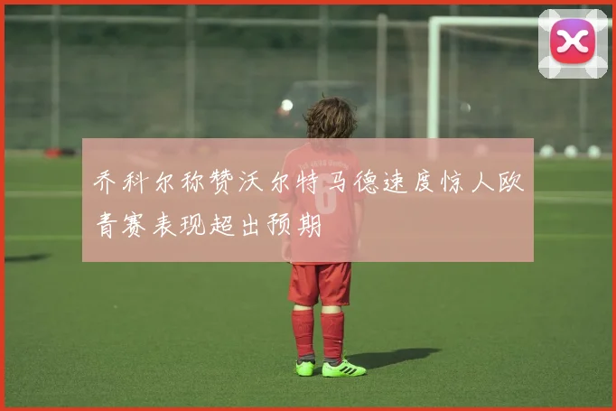 乔科尔称赞沃尔特马德速度惊人欧青赛表现超出预期